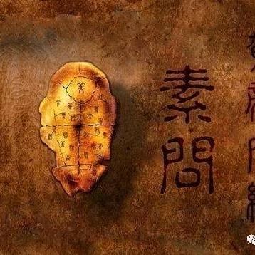 💦🌴七爷·⁷·