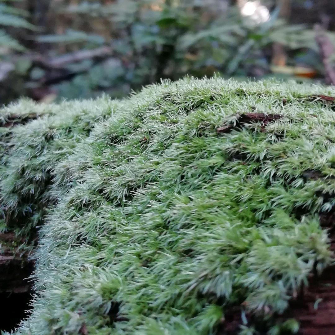 江西裕之泓环境工程