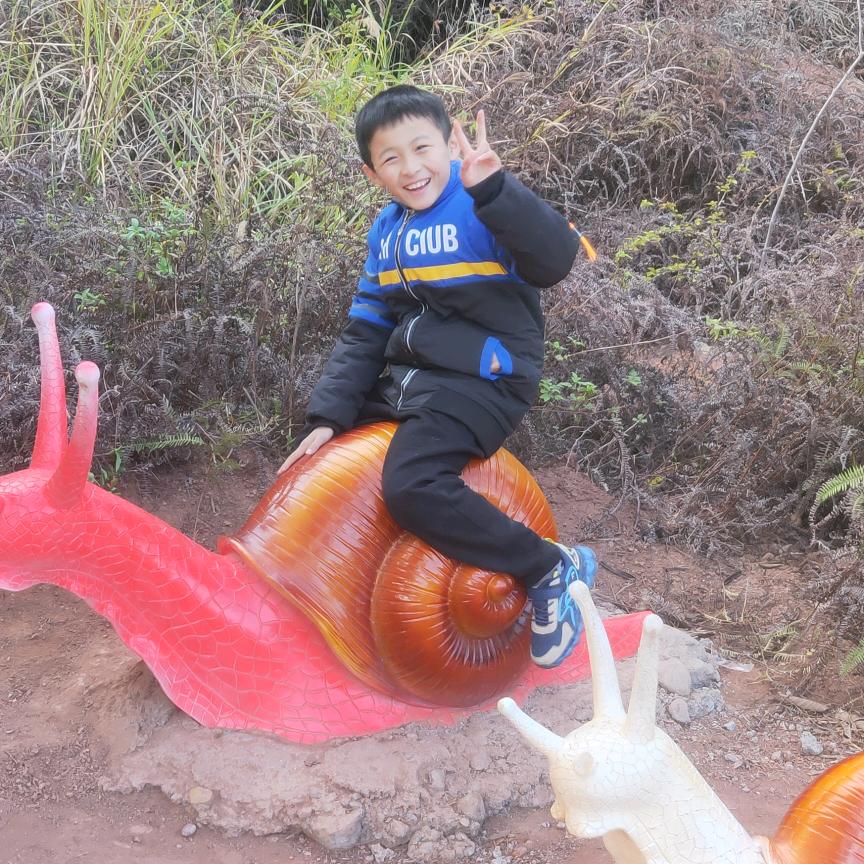 树进