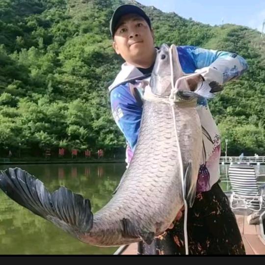 龙潭湖松子