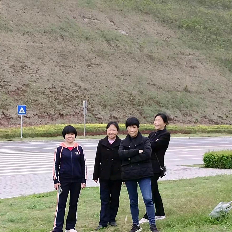 绿叶