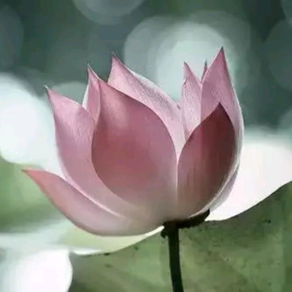 默然