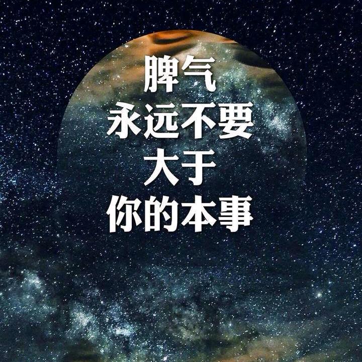 就让风代替我