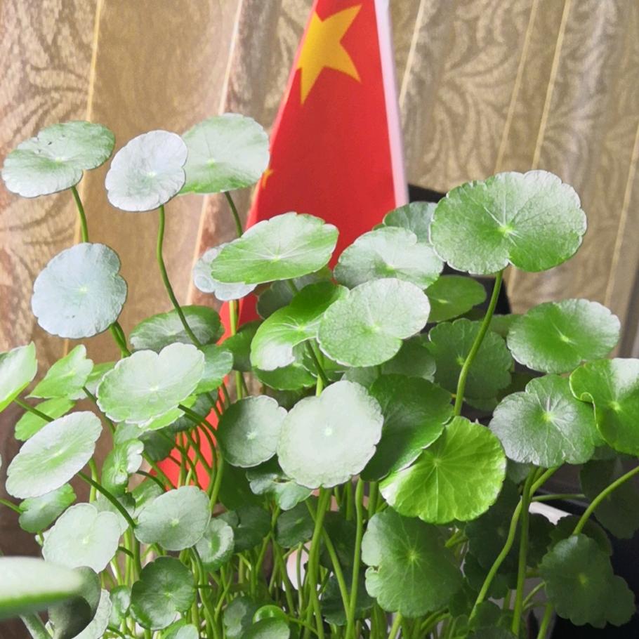 🚬人间ঞৣঁ清醒