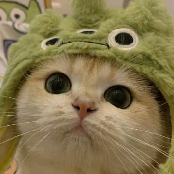 火龙果（emo）版