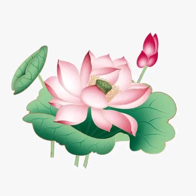 A韩清.顺吉木业