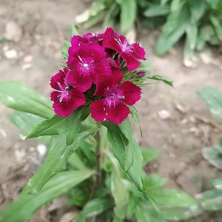 阳光@