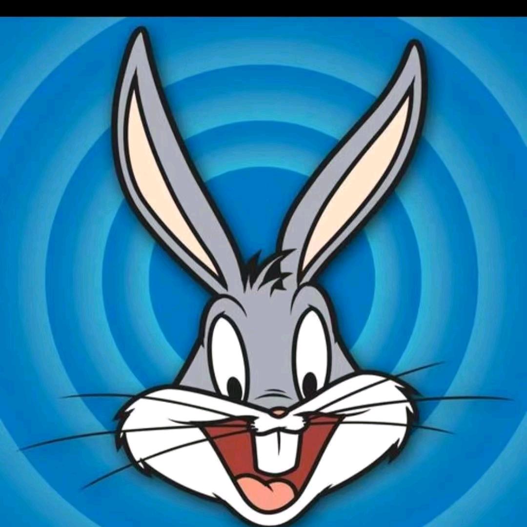 911兔巴哥🐰🐰