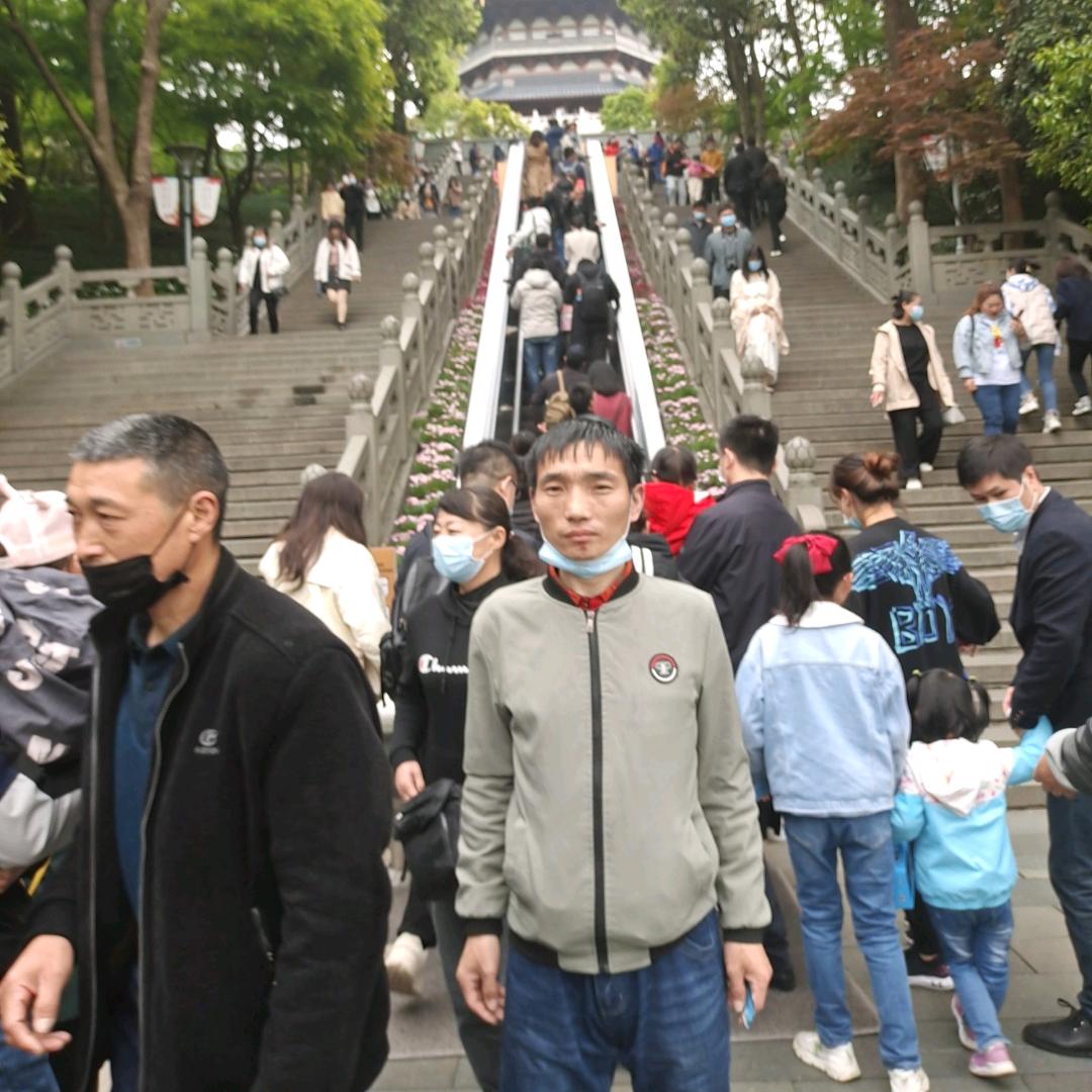 单身杨