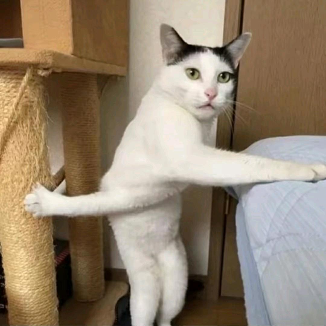泡椒