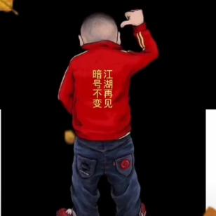 龙的&传人
