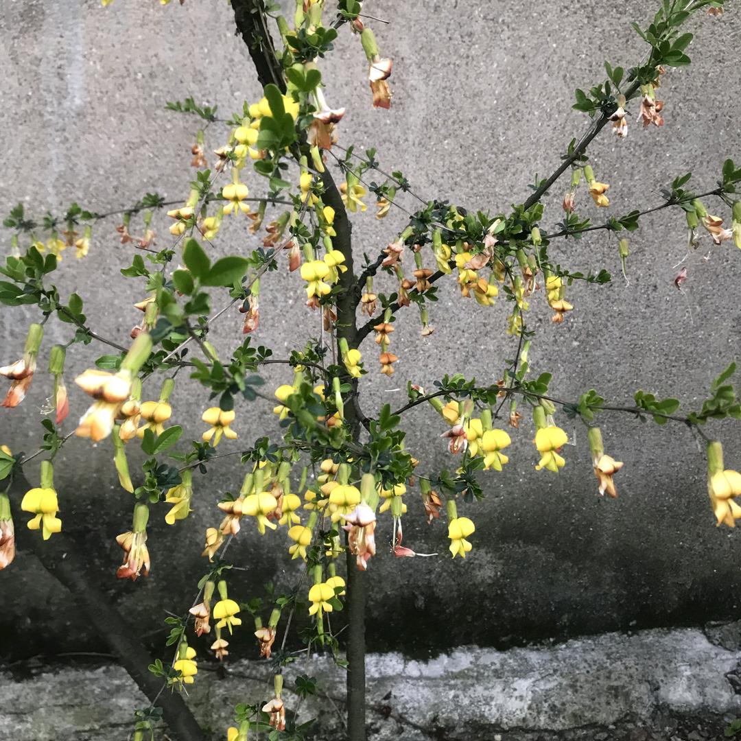 🏠我爱我家