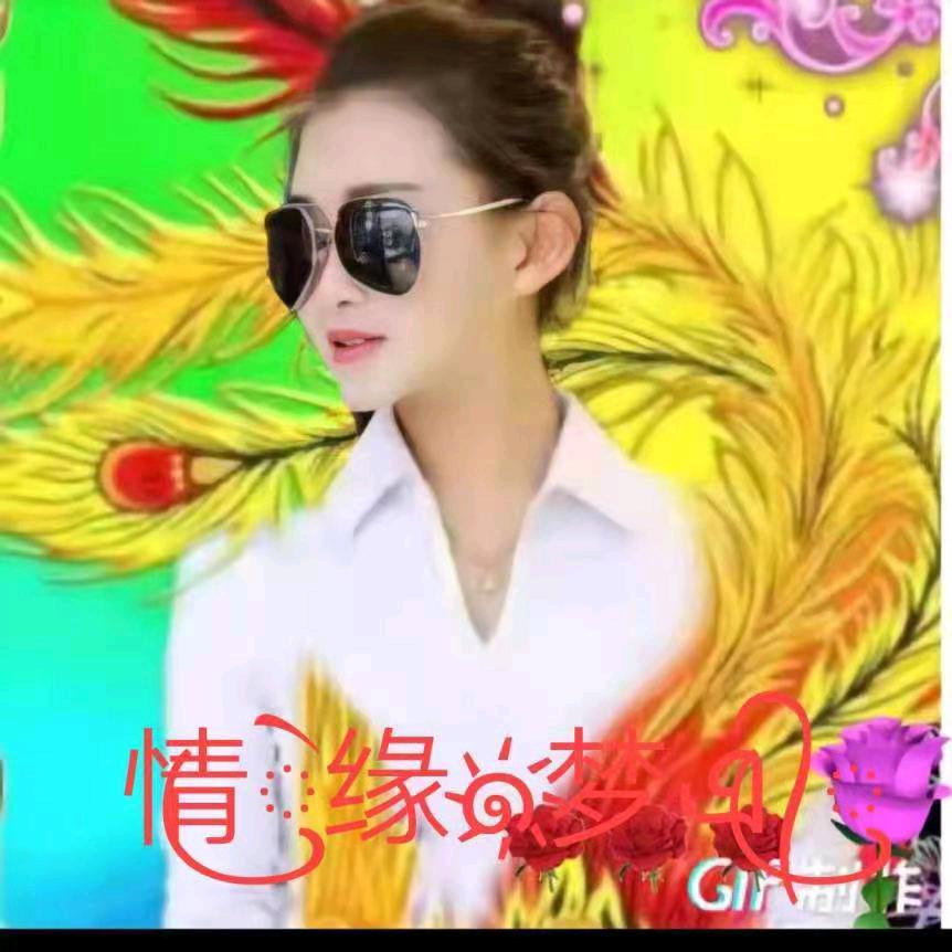 情缘梦