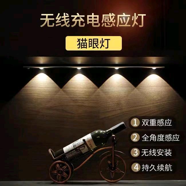 常州红日照明（向心力照明工厂店）