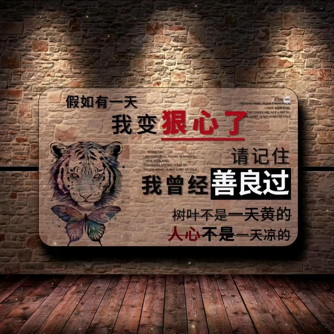 🌈qq豪