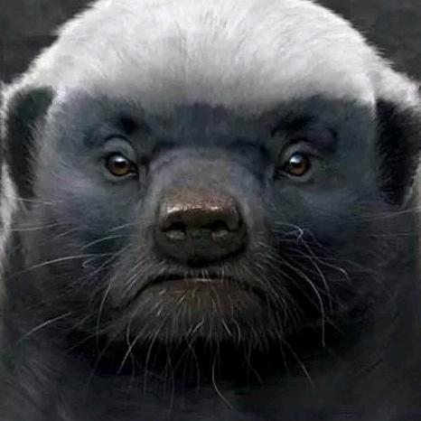 昨夜小楼又.东风