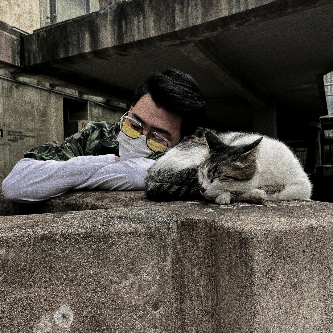 黑犬