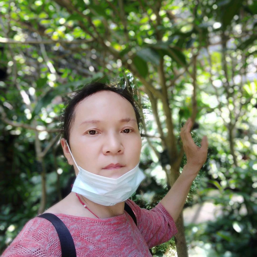 风中晚玲