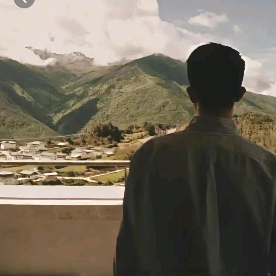 云中树