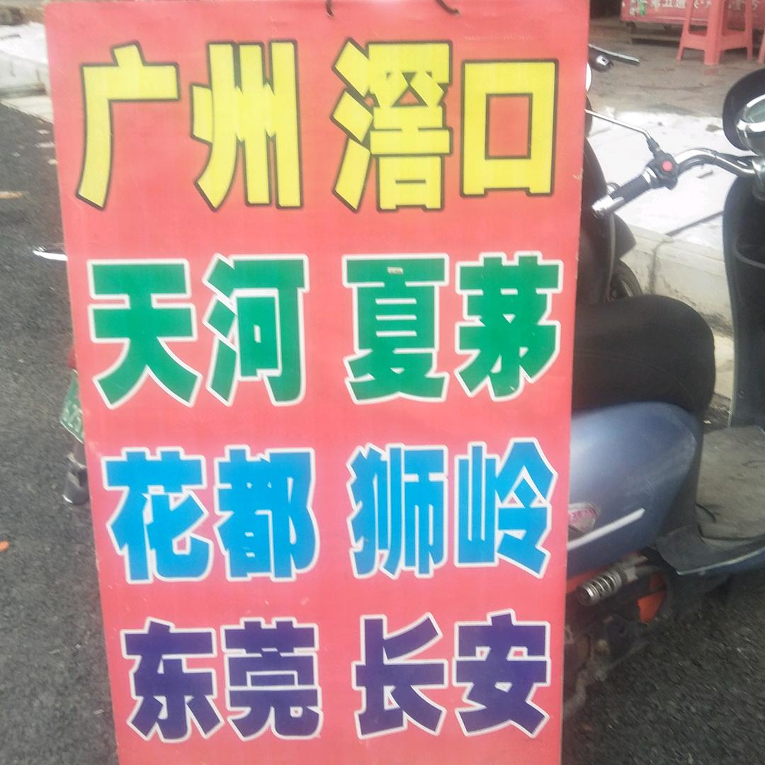 李鸽鸽