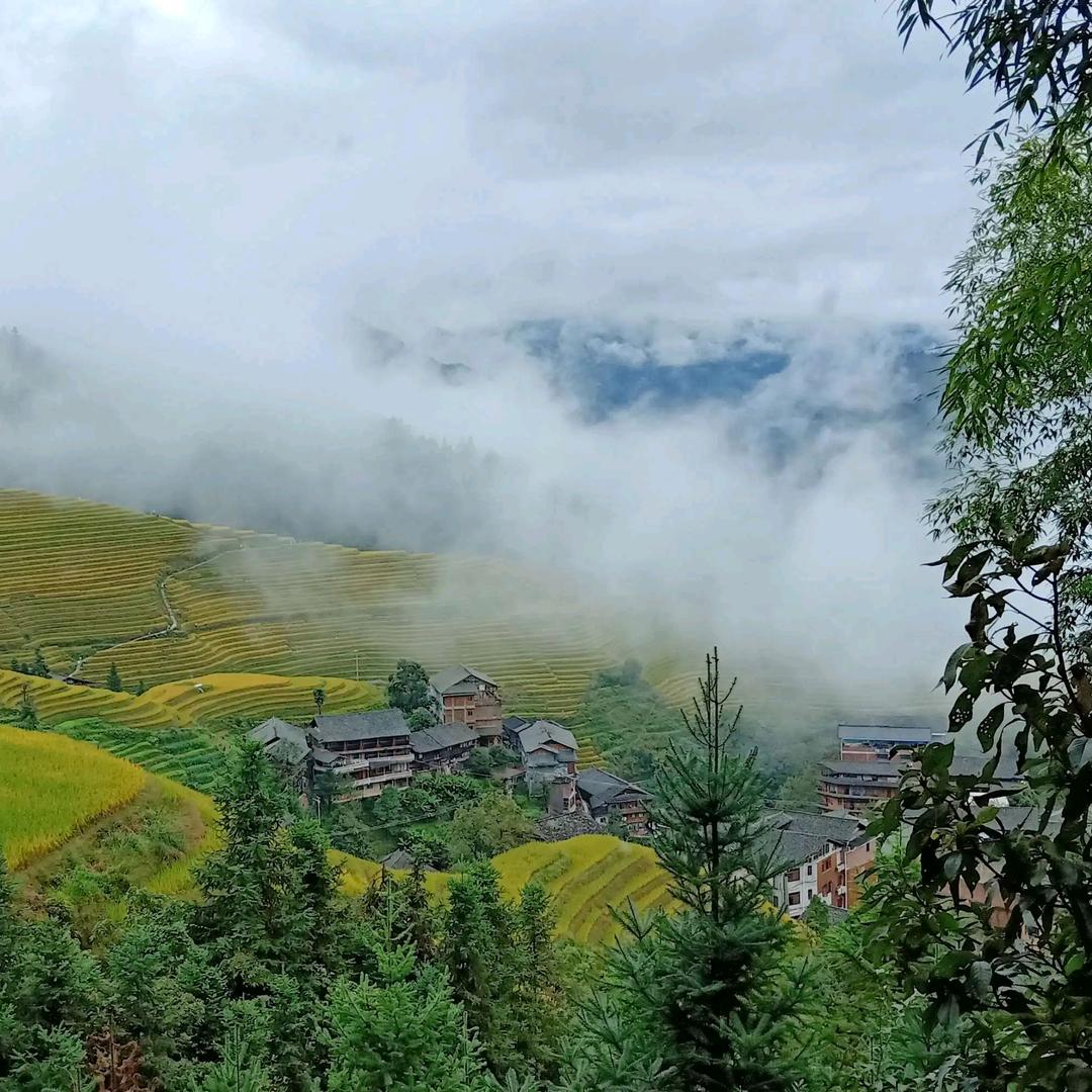 东方大叔