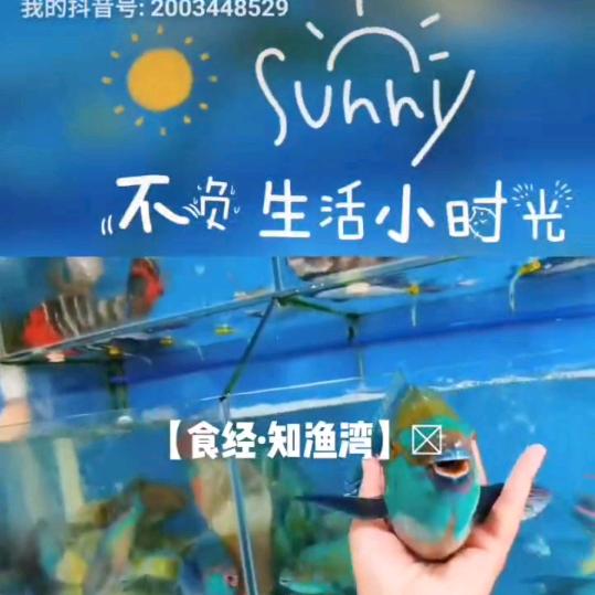 食经•知渔湾深海鱼馆