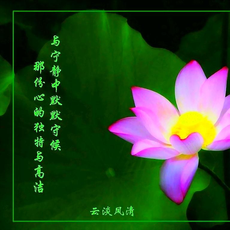 心旅