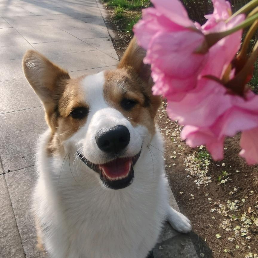 九月是只小可爱