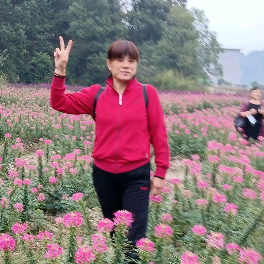 舞迷