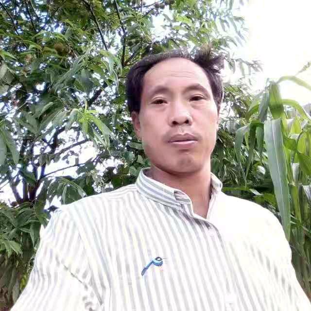殇寂无痕镇雄县（刘）