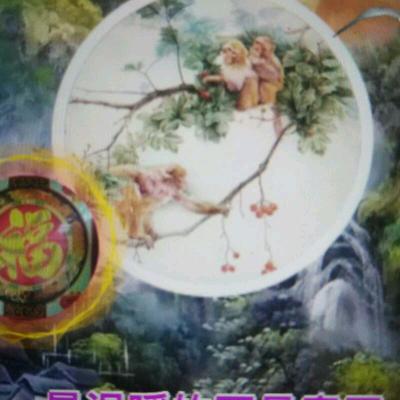 彩钢安装任玉平