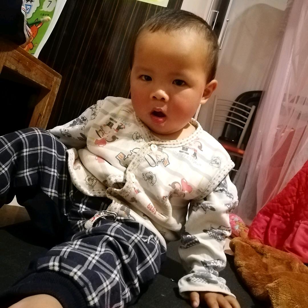 灿烂奈斯