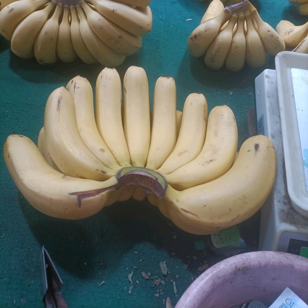 雨妈
