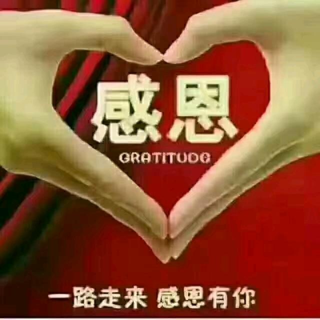 ‘金缕衣