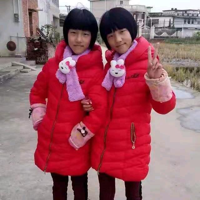 菊花，🌹🌹🌹🌹