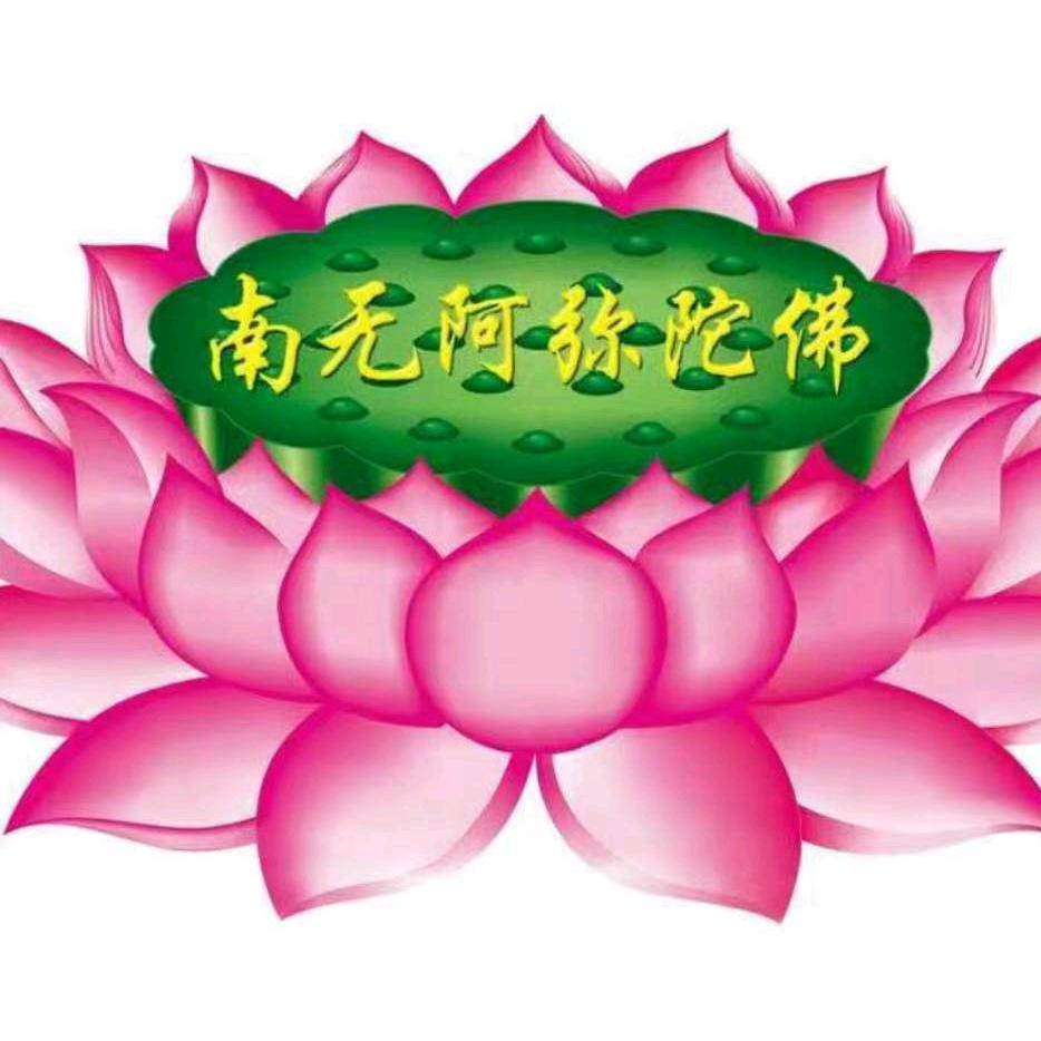 天天开心