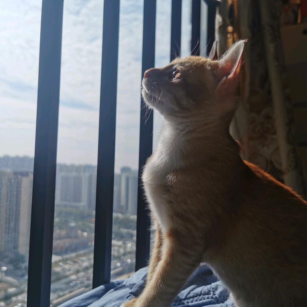 风在听