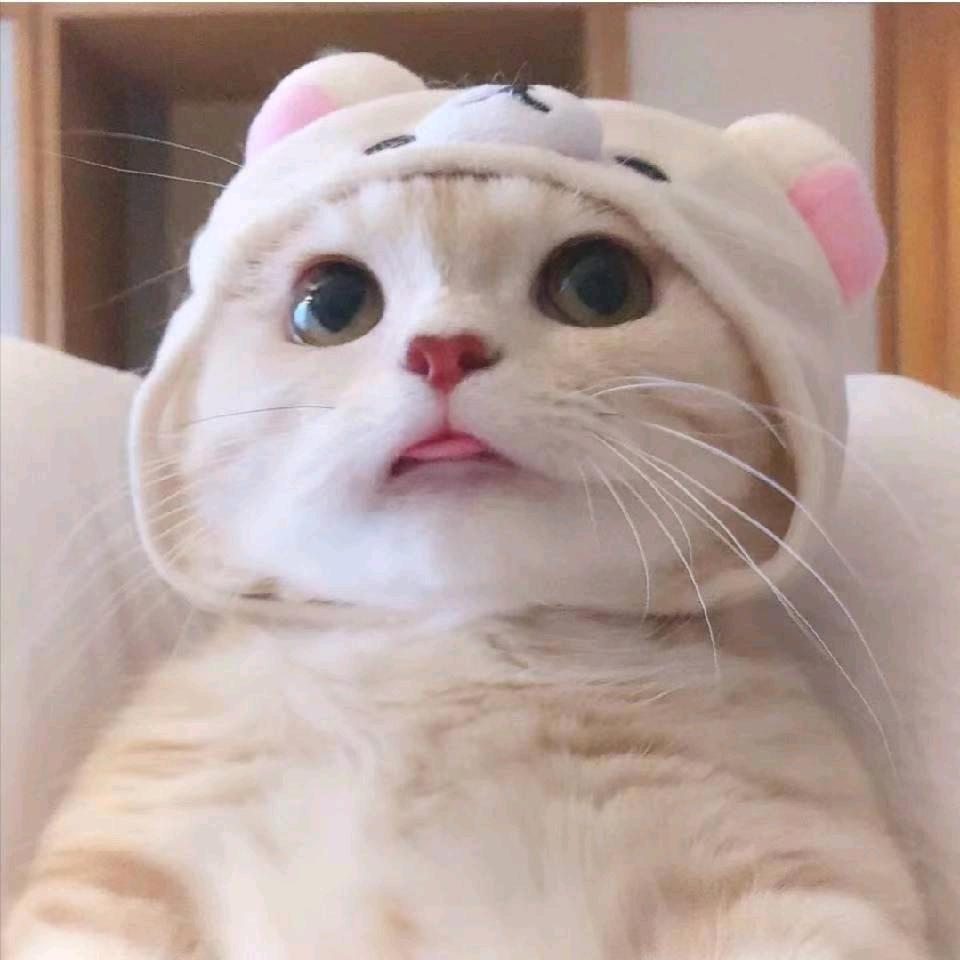 @【꧁꫞꯭梦想成真꫞꧂ꦿ