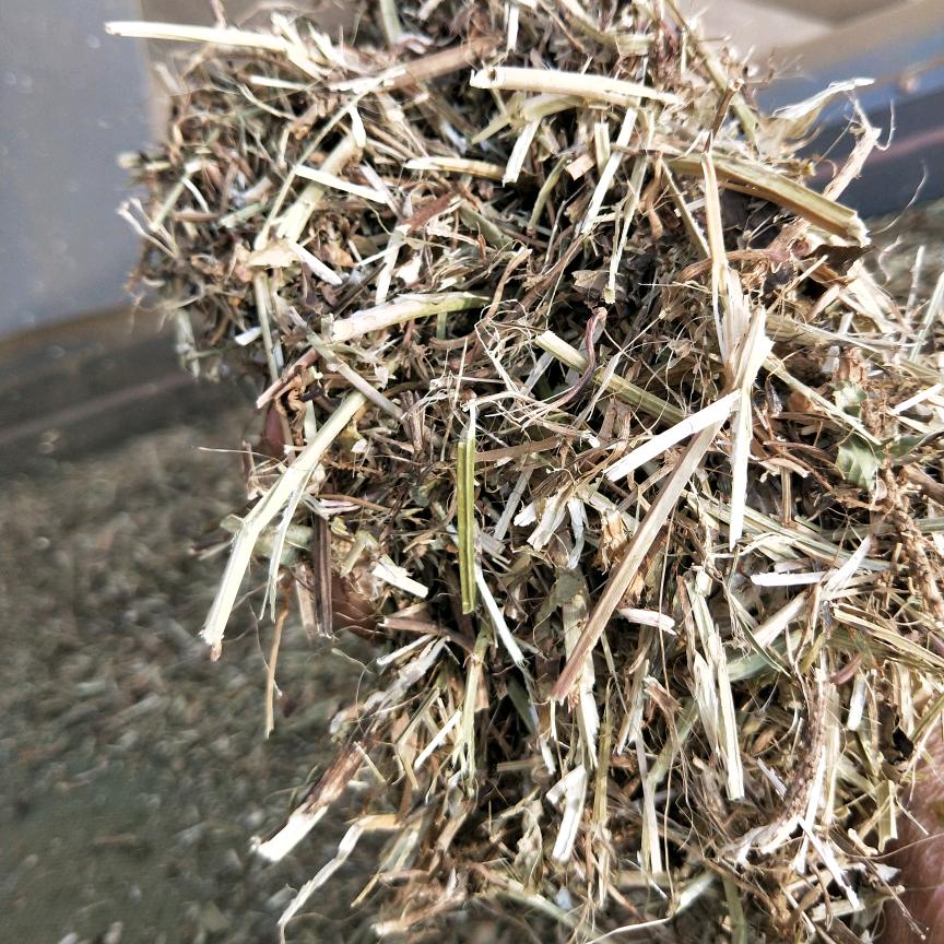 A 泌阳瑞晨牧业