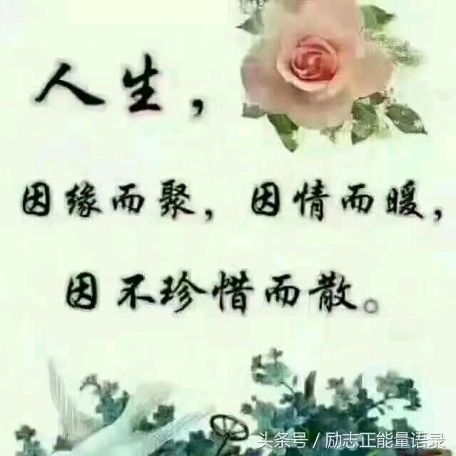 真诚