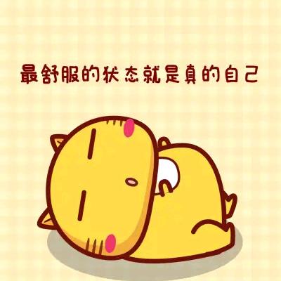 篓子²¹¹
