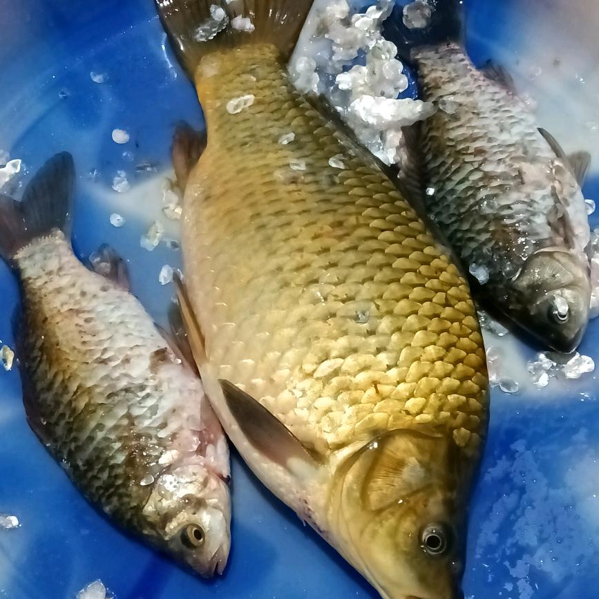 西北的郎