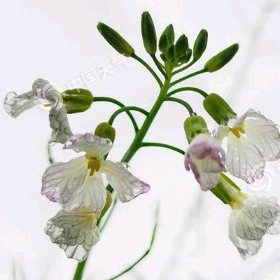 我心永恒，