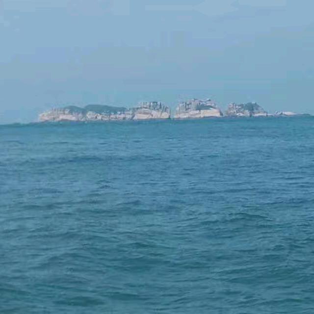 桃花坞下的花瓣