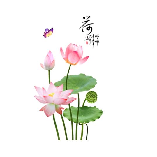 祈乐蓉蓉