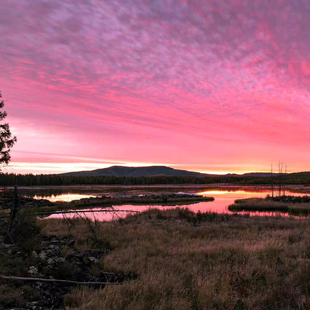 尼古拉斯查尔德·郑