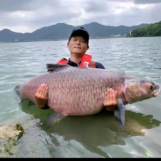 合肥市黄麓镇沛园水产养殖基地