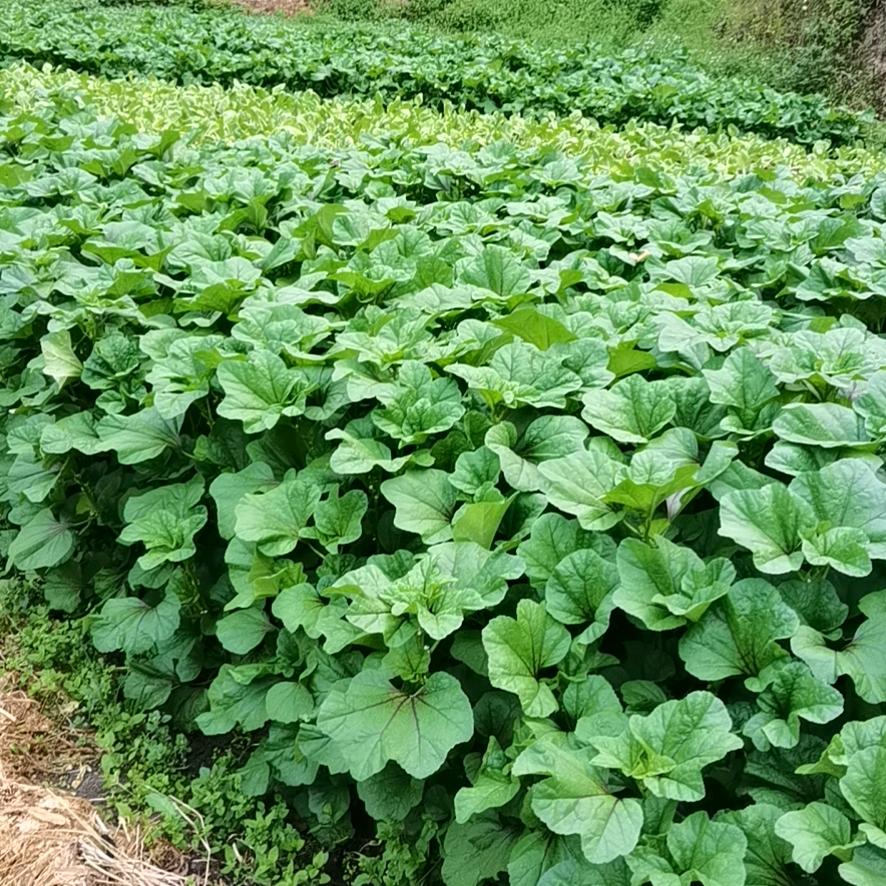 🧡ྀི💛ྀི水❤️ྀི