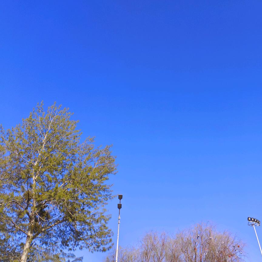 🦋王ꦿ᭄໊后🕊余生᭄ꦿᩚ٭