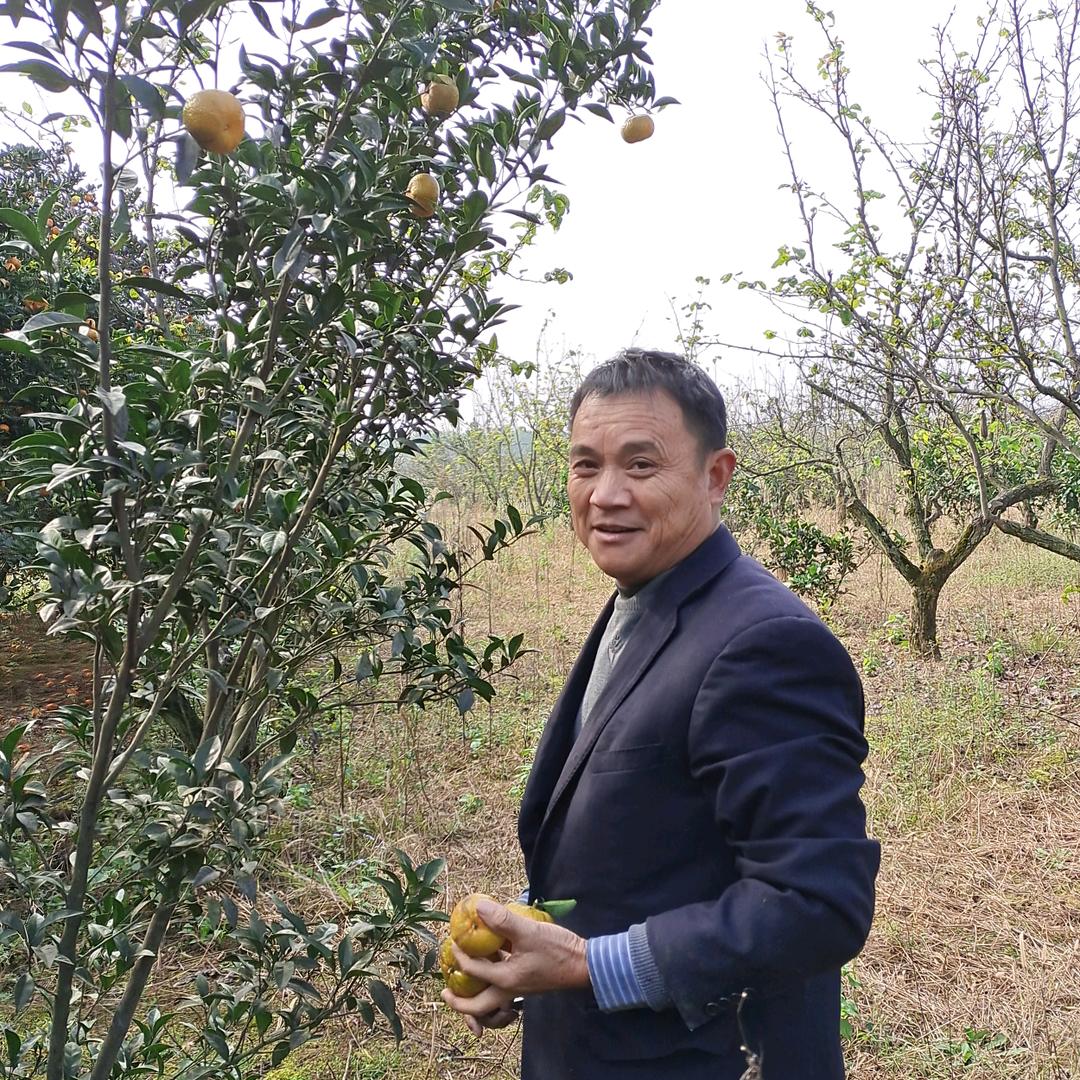 红尘缘